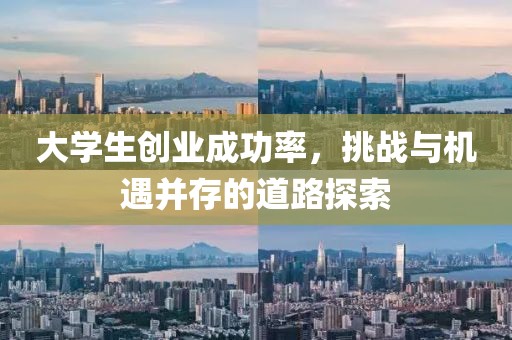 大学生创业成功率，挑战与机遇并存的道路探索