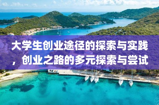 大学生创业途径的探索与实践，创业之路的多元探索与尝试