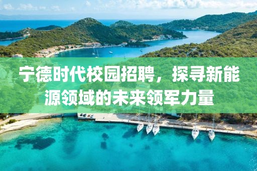 宁德时代校园招聘，探寻新能源领域的未来领军力量