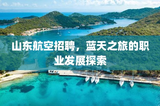 山东航空招聘，蓝天之旅的职业发展探索