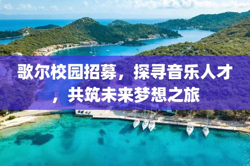 歌尔校园招募，探寻音乐人才，共筑未来梦想之旅