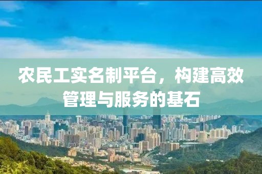 农民工实名制平台，构建高效管理与服务的基石