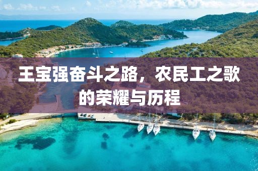 王宝强奋斗之路，农民工之歌的荣耀与历程