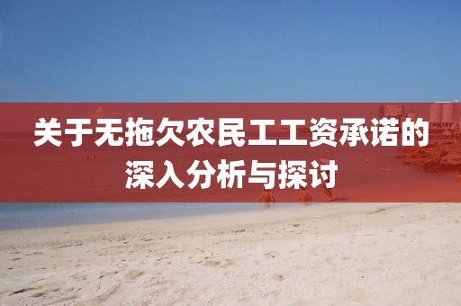 关于无拖欠农民工工资承诺的深入分析与探讨