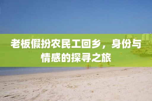 老板假扮农民工回乡，身份与情感的探寻之旅