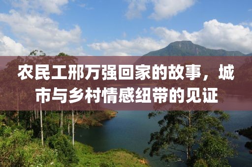 农民工邢万强回家的故事，城市与乡村情感纽带的见证